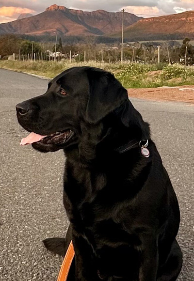 Thandiwe Profile